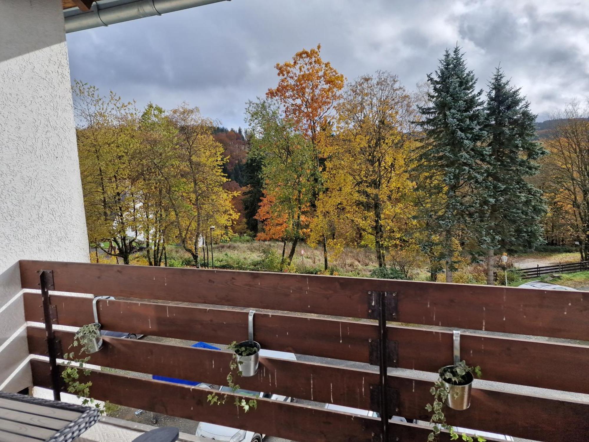 Sonnenhang Apartment Медебах Екстериор снимка